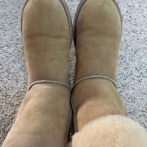 Ugg Classic Tall Boot in Sand